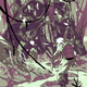Illustration for article titled Spot the hidden probe droid in this exclusive new Star Wars poster